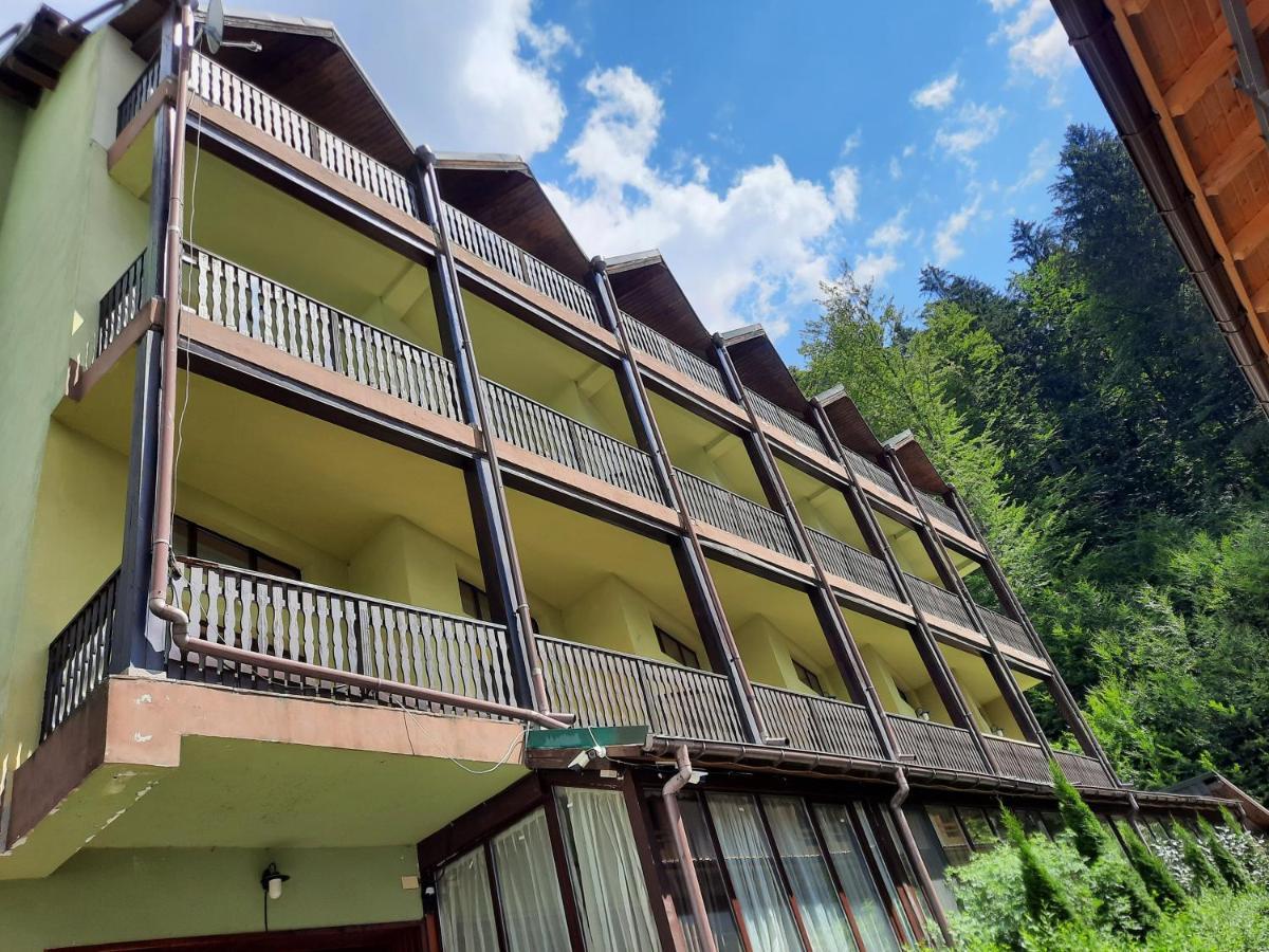 Ezio House Hotel Timisu de Jos Exterior photo
